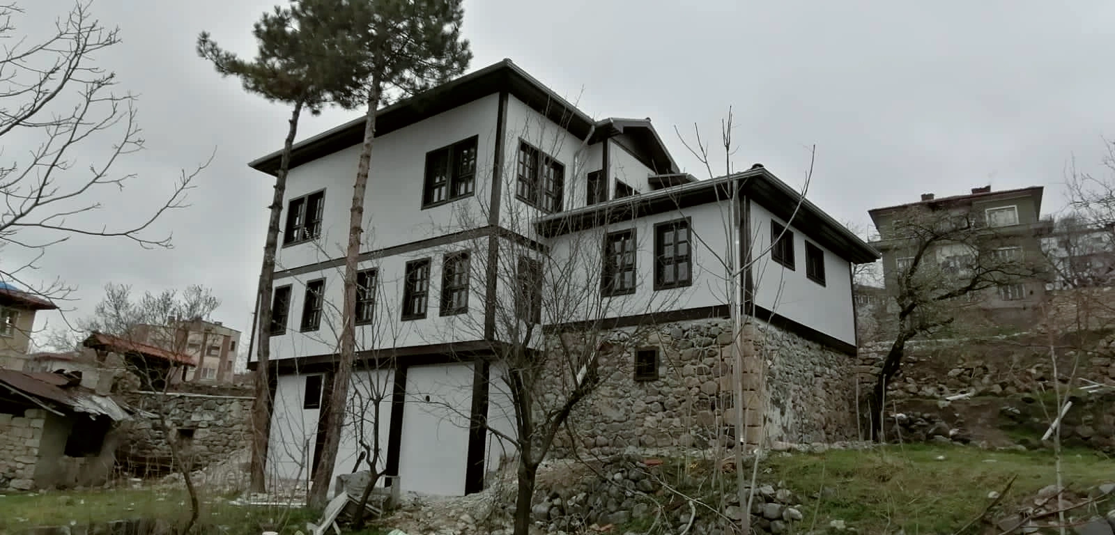 Mansion façade, side view.