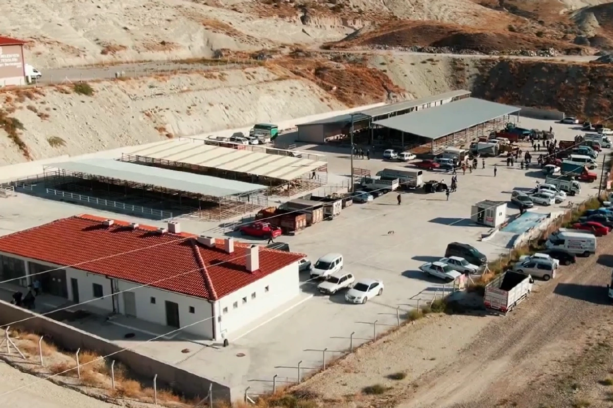 Covered livestock area and car park, seen from the air.