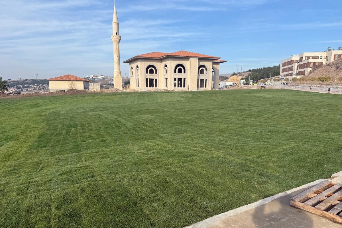 Çim alan ve bina cepheleri.